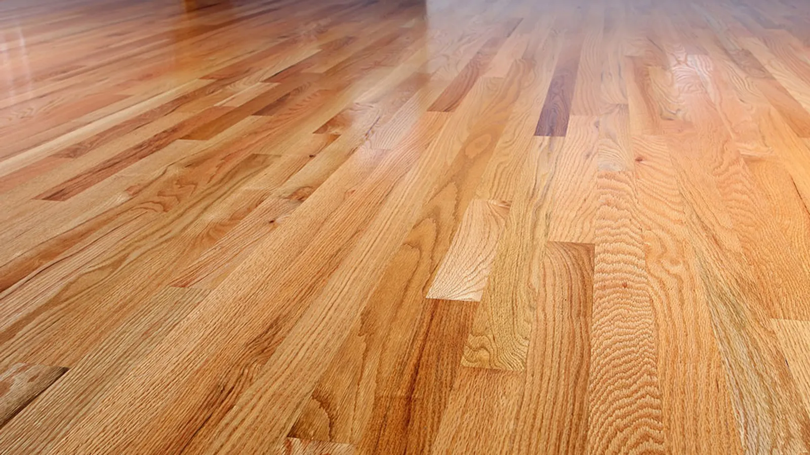 Freshly refinished red oak hardwood floor with a warm gloss by Absolute Hardwood Flooring